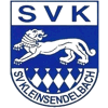 Wappen / Logo des Teams SV Kleinsendelbach
