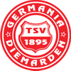 Wappen / Logo des Teams TSV Diemarden
