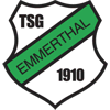Wappen / Logo des Teams TSG Emmerthal