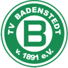Wappen / Logo des Teams TV Badenstedt