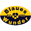 Wappen / Logo des Teams SG Blaues Wunder Hannover