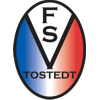 Wappen / Logo des Teams U16/ FSV Tostedt