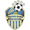 Wappen / Logo des Vereins SV Young Boys Seevetal