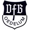 Wappen / Logo des Teams VfB Oedelum 3
