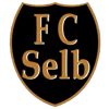 Wappen / Logo des Teams FC Selb