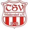 Wappen / Logo des Teams TSV Waldershof