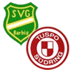 Wappen / Logo des Teams SG Barbis/Sdring