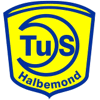 Wappen / Logo des Teams TuS Halbemond 2
