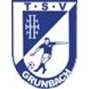 Wappen / Logo des Teams TSV Grunbach