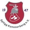 Wappen / Logo des Vereins SpVgg Kammerberg