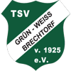 Wappen / Logo des Teams TSV Brechtorf 2