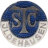 Wappen / Logo des Teams SG Ildehausen/Kirchberg