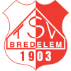 Wappen / Logo des Teams TSV Bredelem