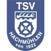 Wappen / Logo des Teams TSV Hachmhlen