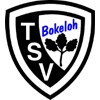 Wappen / Logo des Vereins TSV Bokeloh