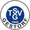 Wappen / Logo des Teams TSV Gestorf 2