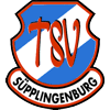 Wappen / Logo des Teams TSV Spplingenburg