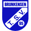 Wappen / Logo des Teams TSV Brunkensen