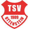 Wappen / Logo des Teams TSV Ottenstein