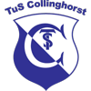 Wappen / Logo des Teams TUS Collinghorst