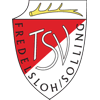 Wappen / Logo des Teams TSV Fredelsloh