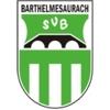 Wappen / Logo des Teams SV Barthelmesaurach 2