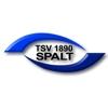 Wappen / Logo des Teams TSV Spalt