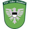 Wappen / Logo des Teams Adler Handorf