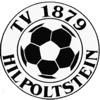 Wappen / Logo des Teams TV Hilpoltstein