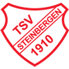 Wappen / Logo des Teams TSV Steinbergen 2