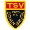 Wappen / Logo des Vereins TSV Ochenbruck