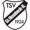 Wappen / Logo des Teams TSV Gr.Hesebeck/R.
