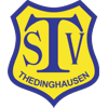 Wappen / Logo des Teams SG Thedinghausen
