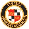 Wappen / Logo des Teams TSV Wassertrdingen