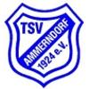 Wappen / Logo des Teams TSV Ammerndorf
