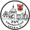 Wappen / Logo des Teams TSV 1914 Merkendorf 2