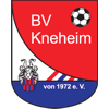 Wappen / Logo des Teams BSV Kneheim
