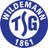 Wappen / Logo des Teams TSG Wildemann