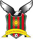 Wappen / Logo des Teams SV Inter Roj