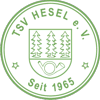 Wappen / Logo des Teams TSV Hesel 2