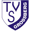 Wappen / Logo des Vereins TSV Grossberg
