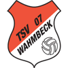 Wappen / Logo des Teams TSV Wahmbeck