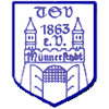 Wappen / Logo des Teams TSV Mnnerstadt
