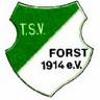 Wappen / Logo des Teams TSV Forst 2 / SG Hausen