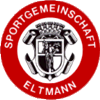 Wappen / Logo des Vereins SG 1866 Eltmann