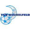 Wappen / Logo des Teams TSV Michelfeld