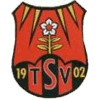 Wappen / Logo des Teams TSV Hengersberg