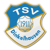 Wappen / Logo des Teams TSV Dinkelhausen