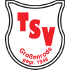 Wappen / Logo des Teams TSV Groenrode
