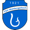 Wappen / Logo des Vereins TSV Waldangelloch